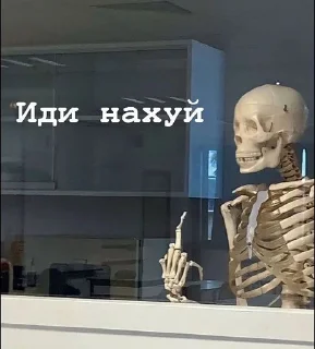 🖕 emoji Скелет из Шкафа Telegram sticker 11 of 80