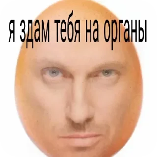🤲 emoji Женщины не существуют Telegram sticker 12 of 13