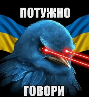 🌟 emoji Птицы сомнения 2 @joziesittv Telegram sticker 20 of 120
