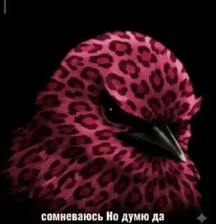 🌟 emoji Птицы сомнения 2 @joziesittv Telegram sticker 16 of 120