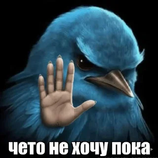 Sticker from Птицы сомнения 2 @joziesittv