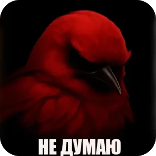 🖼 emoji Птицы Telegram sticker 10 of 98