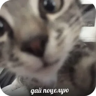 💋 emoji стикеры @rubovacho Telegram sticker 20 of 95