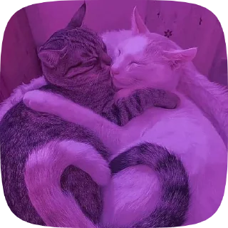 Sticker from Я тебя лублу