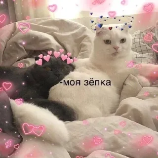 Sticker from You