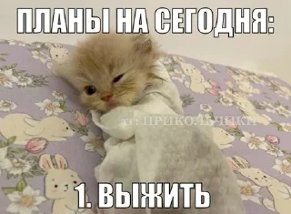 🌟 emoji А я на морі :: @Damkca @fStikBot Telegram sticker 8 of 50