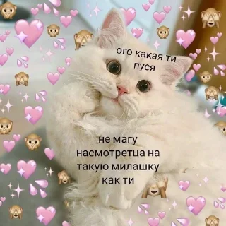 Sticker from You