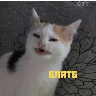 Sticker from Я ебу собак