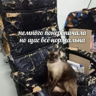🌟 emoji На случай важных переговоров Telegram sticker 24 of 117