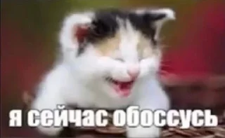 🫣 emoji людоеды | @j0kullse Telegram sticker 23 of 115