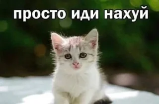 😊 emoji людоеды | @j0kullse Telegram sticker 6 of 115