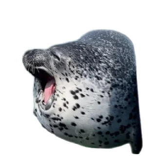 😴 emoji Тюлени @VolFRAM_WAREQ Telegram sticker 9 of 110