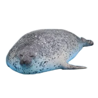 😴 emoji Тюлени @VolFRAM_WAREQ Telegram sticker 16 of 110