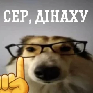 ☝ emoji забудьте наші імена Telegram sticker 11 of 46