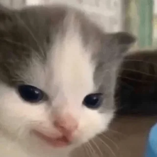 😏 emoji фавориты😲 Telegram sticker 11 of 54