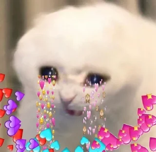😭 emoji фавориты😲 Telegram sticker 15 of 54