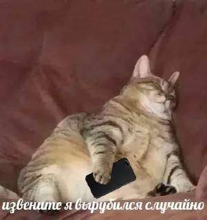 😴 emoji на случай важных переговоров Telegram sticker 23 of 67
