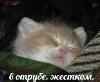 🛌 emoji на случай важных переговоров Telegram sticker 22 of 67