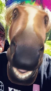 🐴 emoji ✨ДЕБЕЛИКИ✨ Telegram sticker 22 of 46