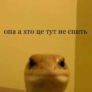 Sticker from На случай важных переговоров