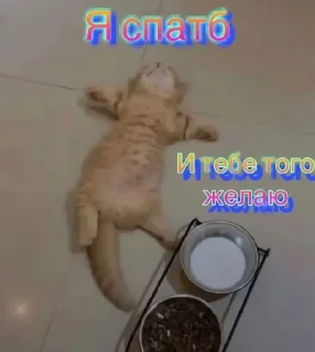 Sticker from спкнч