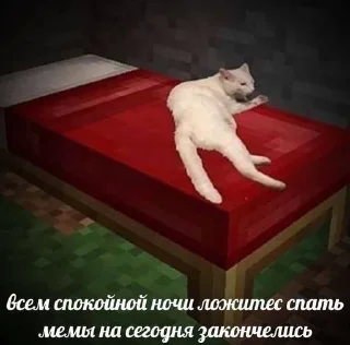 Sticker from спкнч