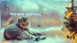 😢 emoji Котики Telegram sticker 8 of 25