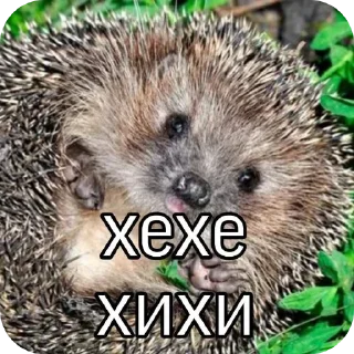 😈 emoji 🦔ёжжжжжик🦔 Telegram sticker 7 of 8