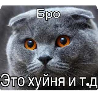 🫥 emoji Сеня z гойда Telegram sticker 10 of 120