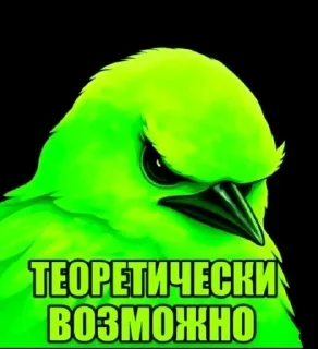 🌟 emoji Птицы Вряд-ли @Belguga332 Telegram sticker 6 of 51