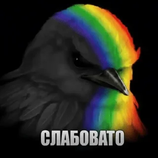 🌟 emoji Птицы Вряд-ли @Belguga332 Telegram sticker 19 of 51