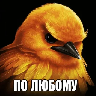 🌟 emoji Птицы Вряд-ли @Belguga332 Telegram sticker 24 of 51