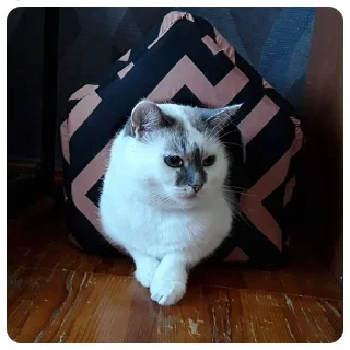 😔 emoji Emotional support по котячому Telegram sticker 8 of 22