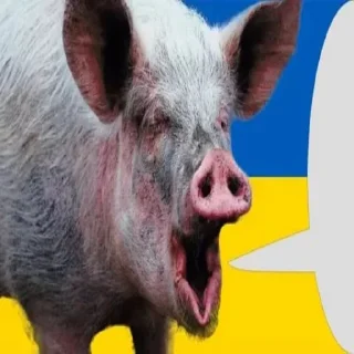 🇺🇦 emoji Свинопак Telegram sticker 5 of 18