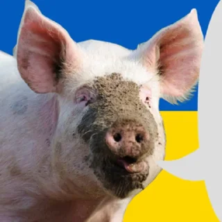 Свинопак sticker preview 4