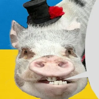 🐷 emoji Свинопак Telegram sticker 6 of 18