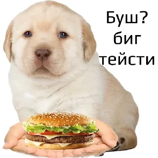 лечи 2.0 sticker preview 2