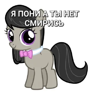 🎼 emoji Я пони а ты нет смирись Telegram sticker 24 of 29