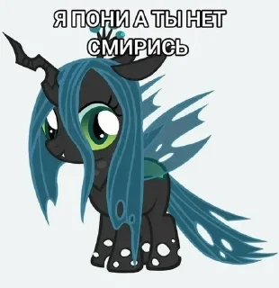 🪰 emoji Я пони а ты нет смирись Telegram sticker 16 of 29