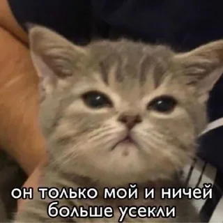 🌟 emoji Да яя Telegram sticker 8 of 50