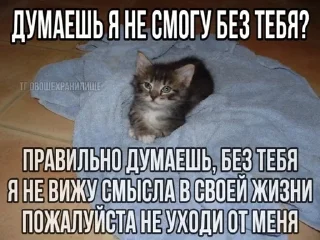 🌟 emoji Да яя Telegram sticker 23 of 50