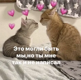 🥹 emoji MEMES Telegram sticker 17 of 120