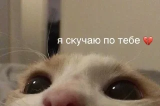 🌟 emoji Да яя Telegram sticker 22 of 50