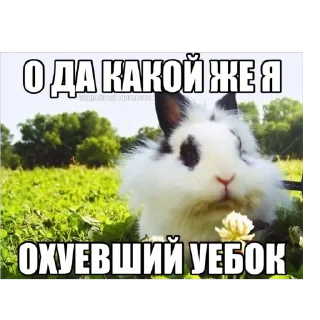 Sticker from ядалбаеп