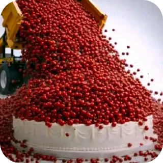 🎂 emoji Одаааа мемолоджи🍄 Telegram sticker 8 of 30