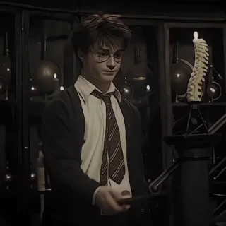 🤩 emoji Harry Potter @sasweirdo @MoiStikiBot Telegram sticker 18 of 43