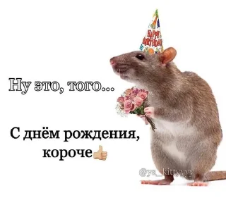 🎂 emoji человеки Telegram sticker 13 of 110
