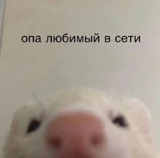 😙 emoji мило” Telegram sticker 15 of 21