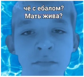 🤡 emoji дурка ебать Telegram sticker 17 of 77