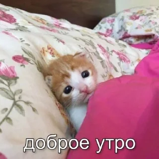 💜 emoji мили мили пикчи Telegram sticker 23 of 45